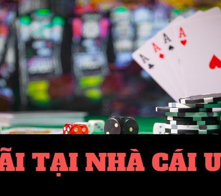 Top 15 Trang Nhà Cái Uy Tín Nhất Việt Nam, Không Bịp