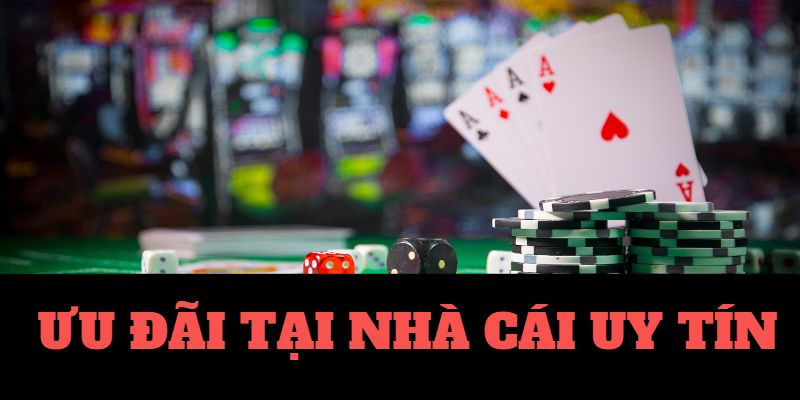 Top 15 Trang Nhà Cái Uy Tín Nhất Việt Nam, Không Bịp